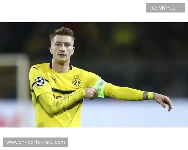 球迷热情高涨，德甲上赛季售出近2100万张球票